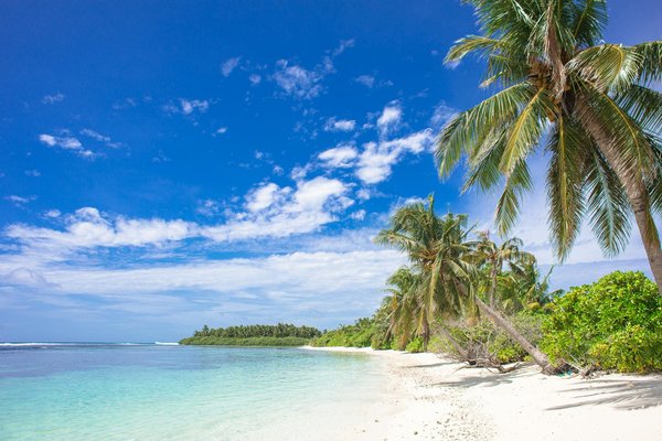 Location de mobil home : opter pour un camping ou un propriétaire particulier ?