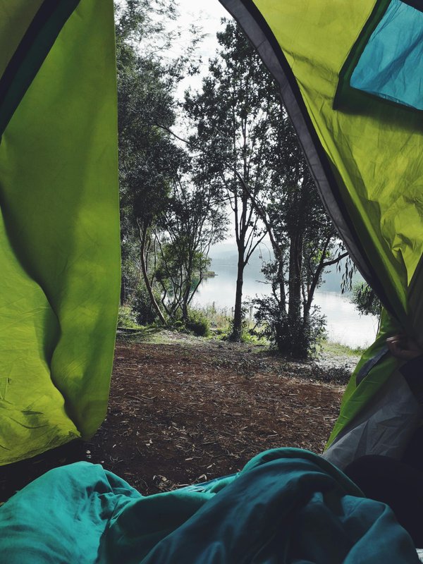 Découvrez le camping idéal sur l'île d'oléron à la cailletière